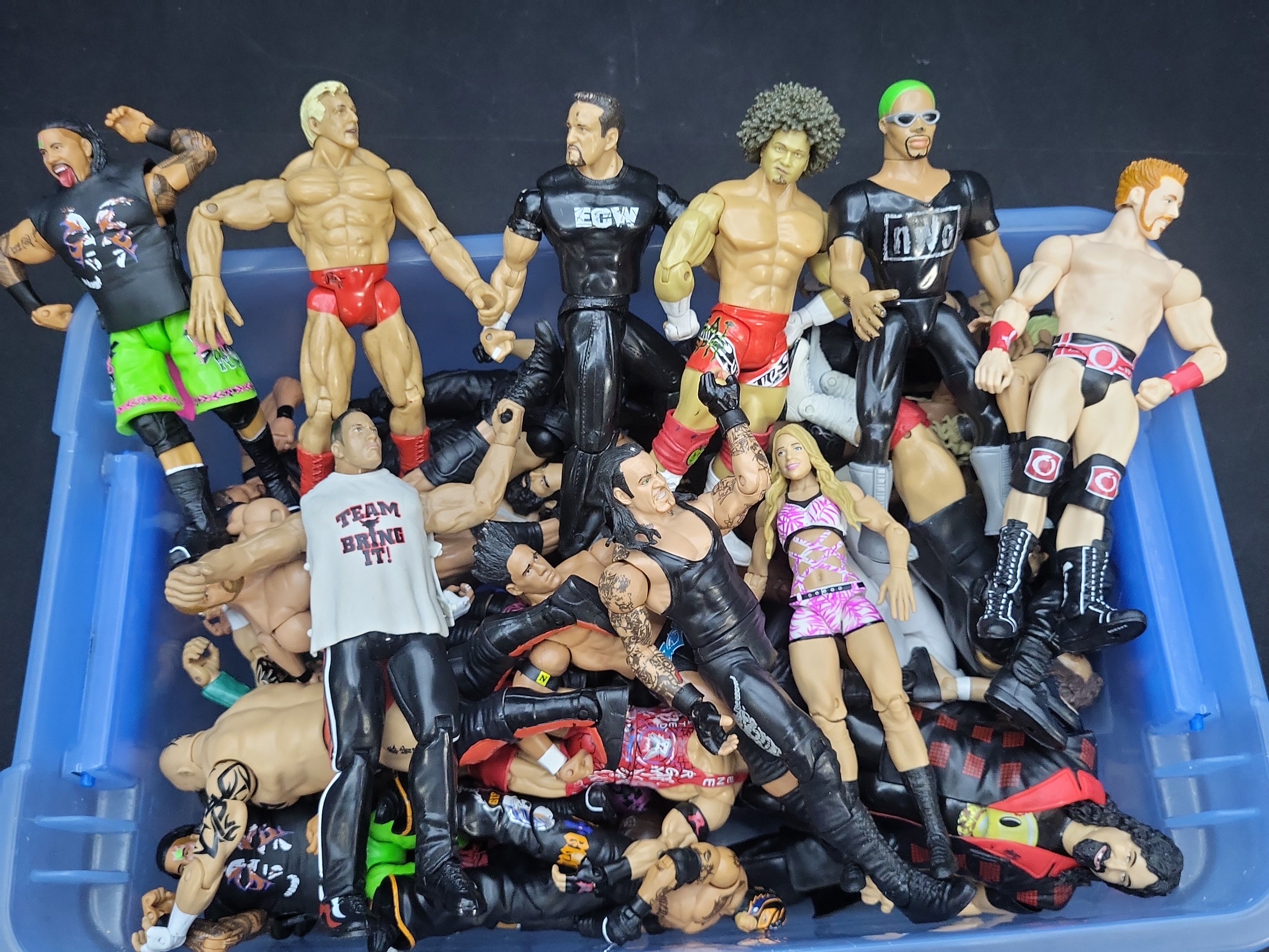I04297 | Collection of Wrestling Action Figures