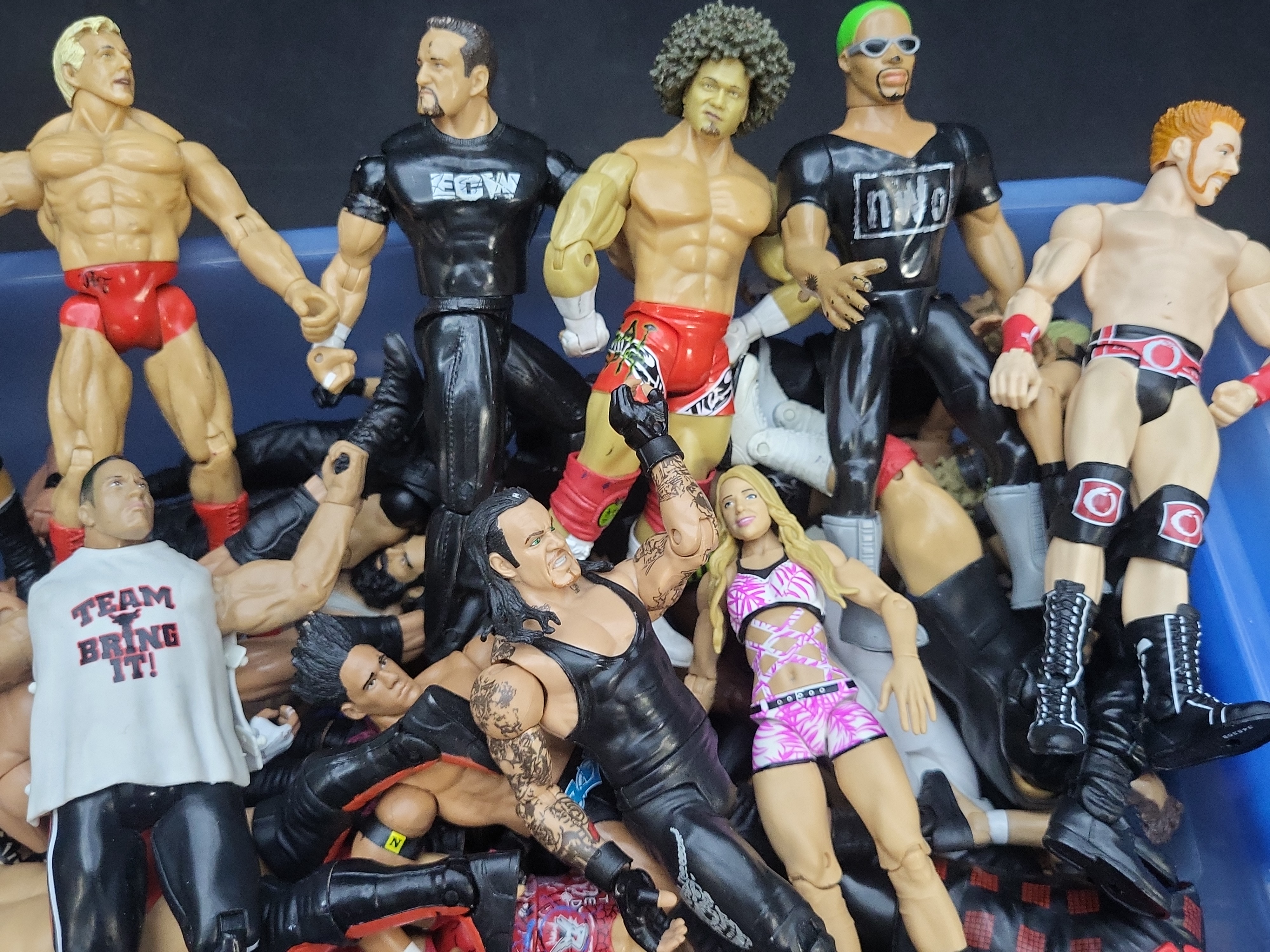 I04297 | Collection of Wrestling Action Figures