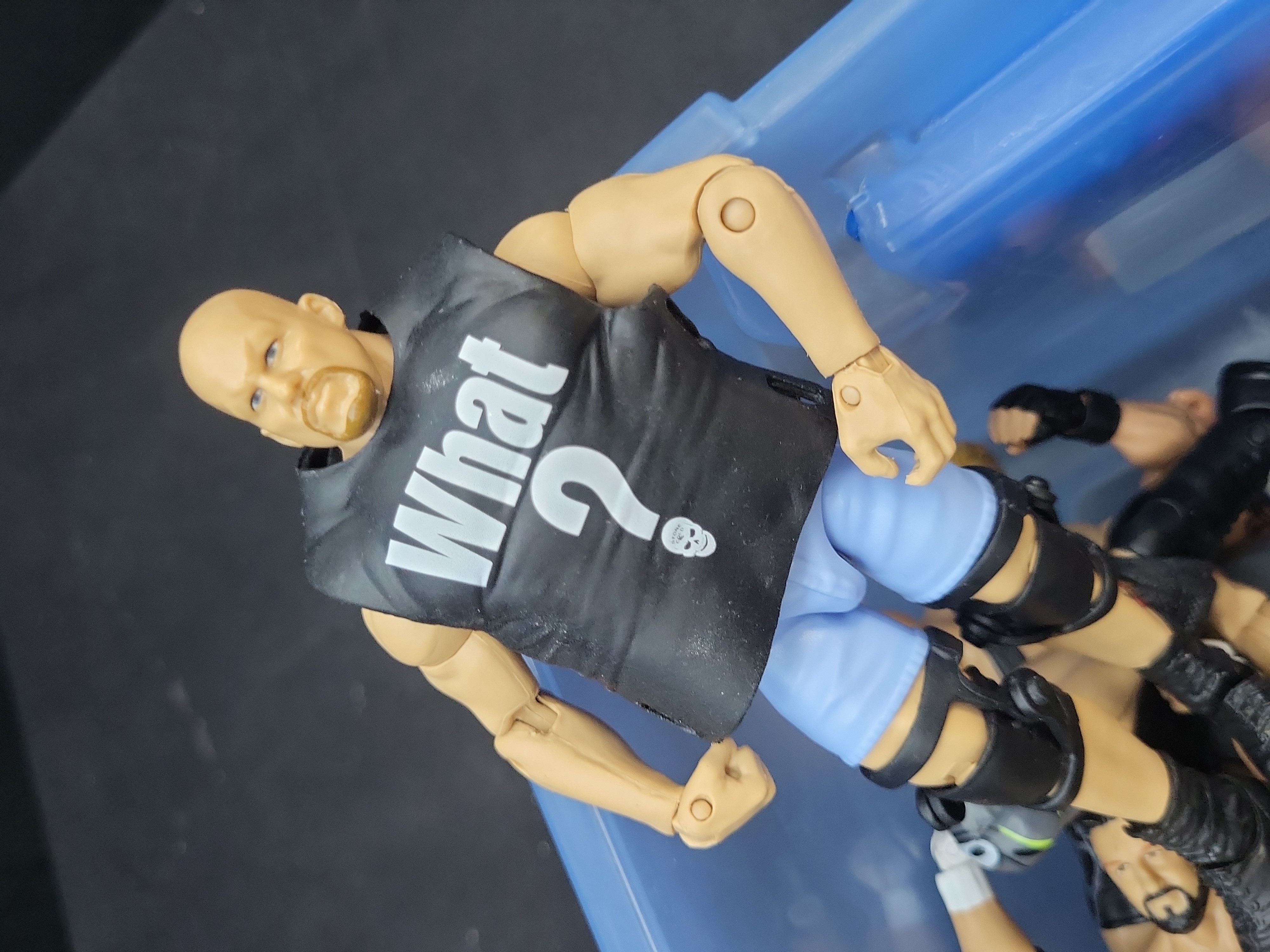 I04297 | Collection of Wrestling Action Figures