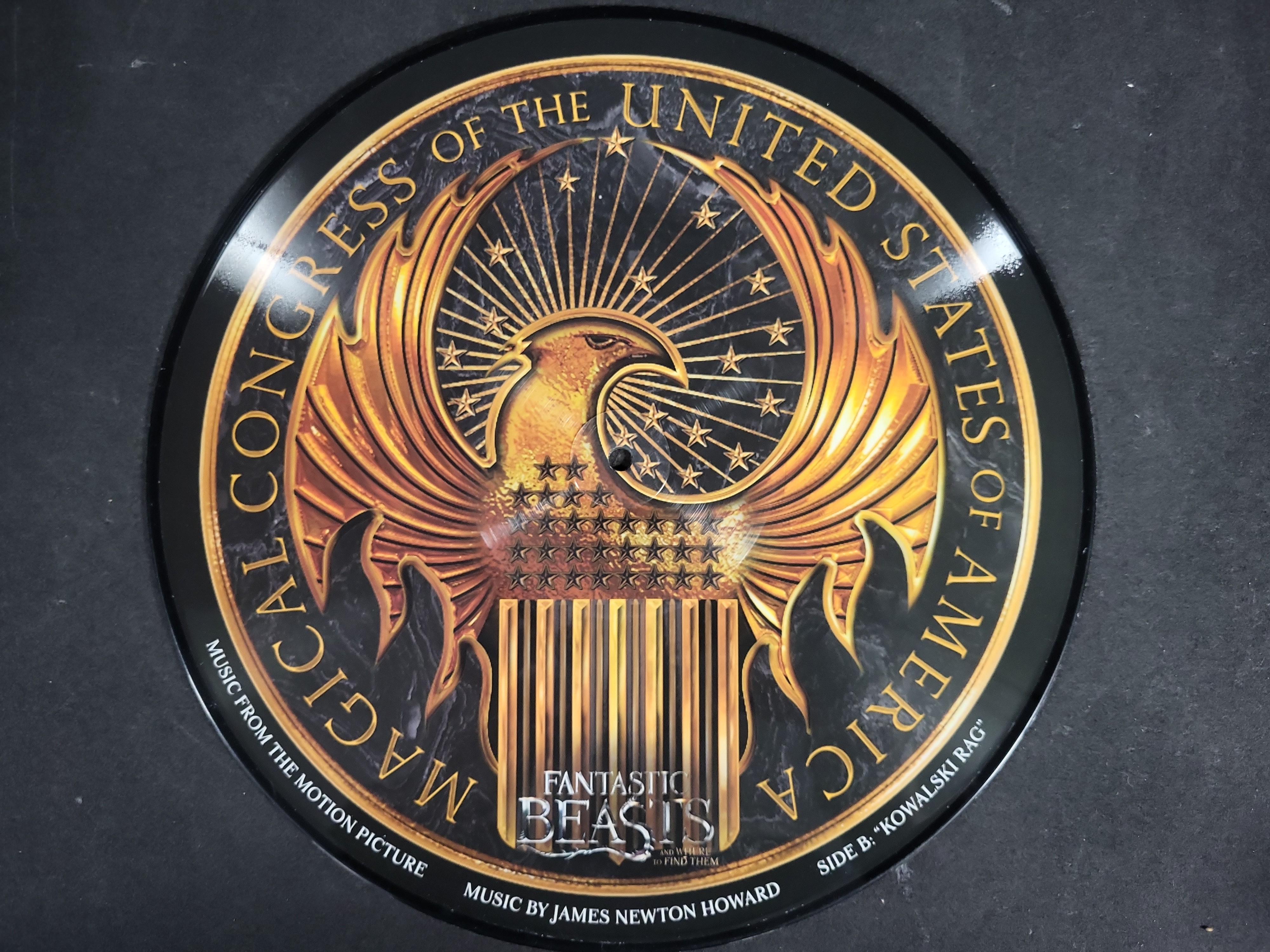 I04713 | Fantastic Beasts Soundtrack Picture Disc