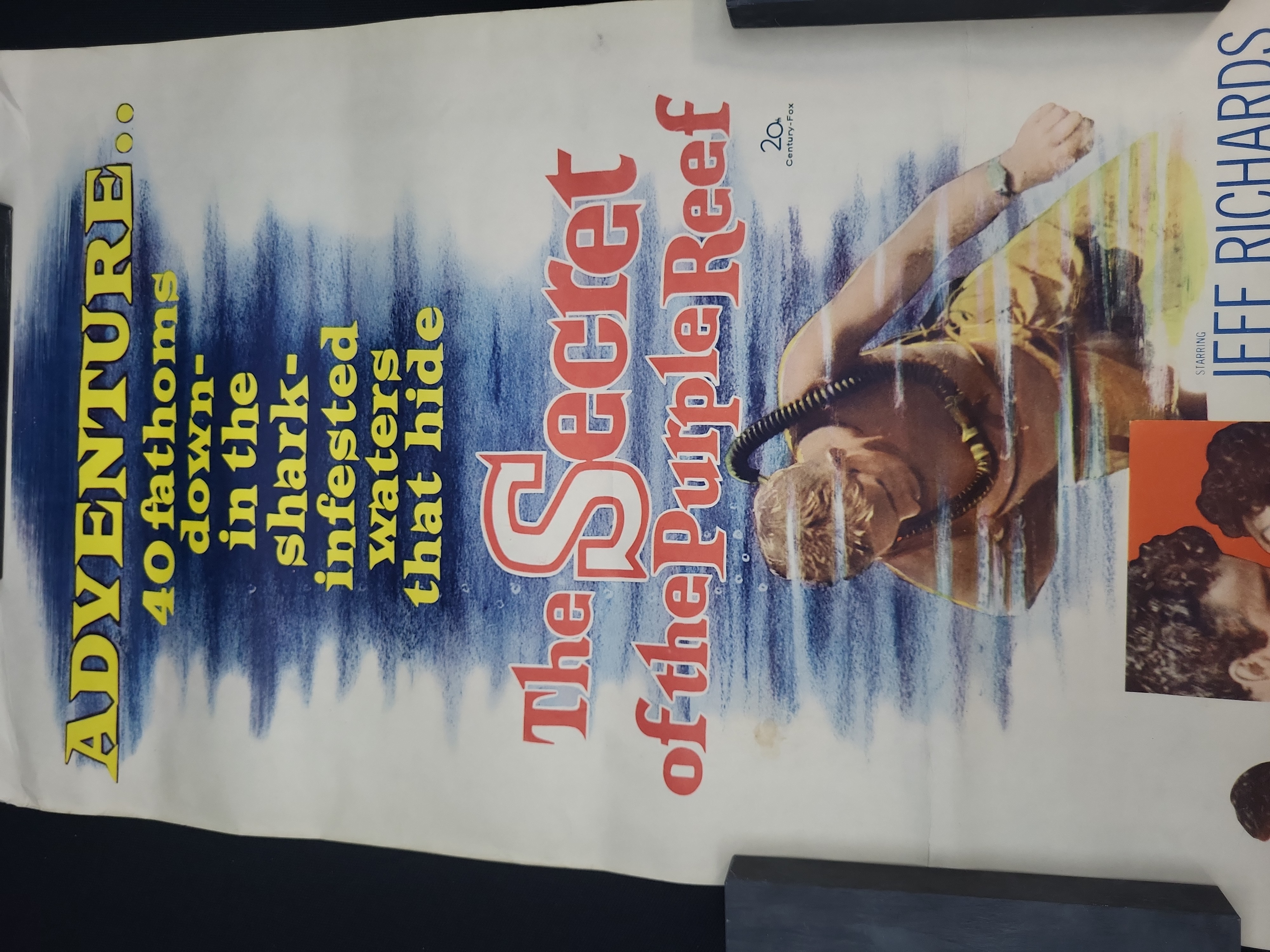 I04823 | The Secret of Purple Reef Poster
