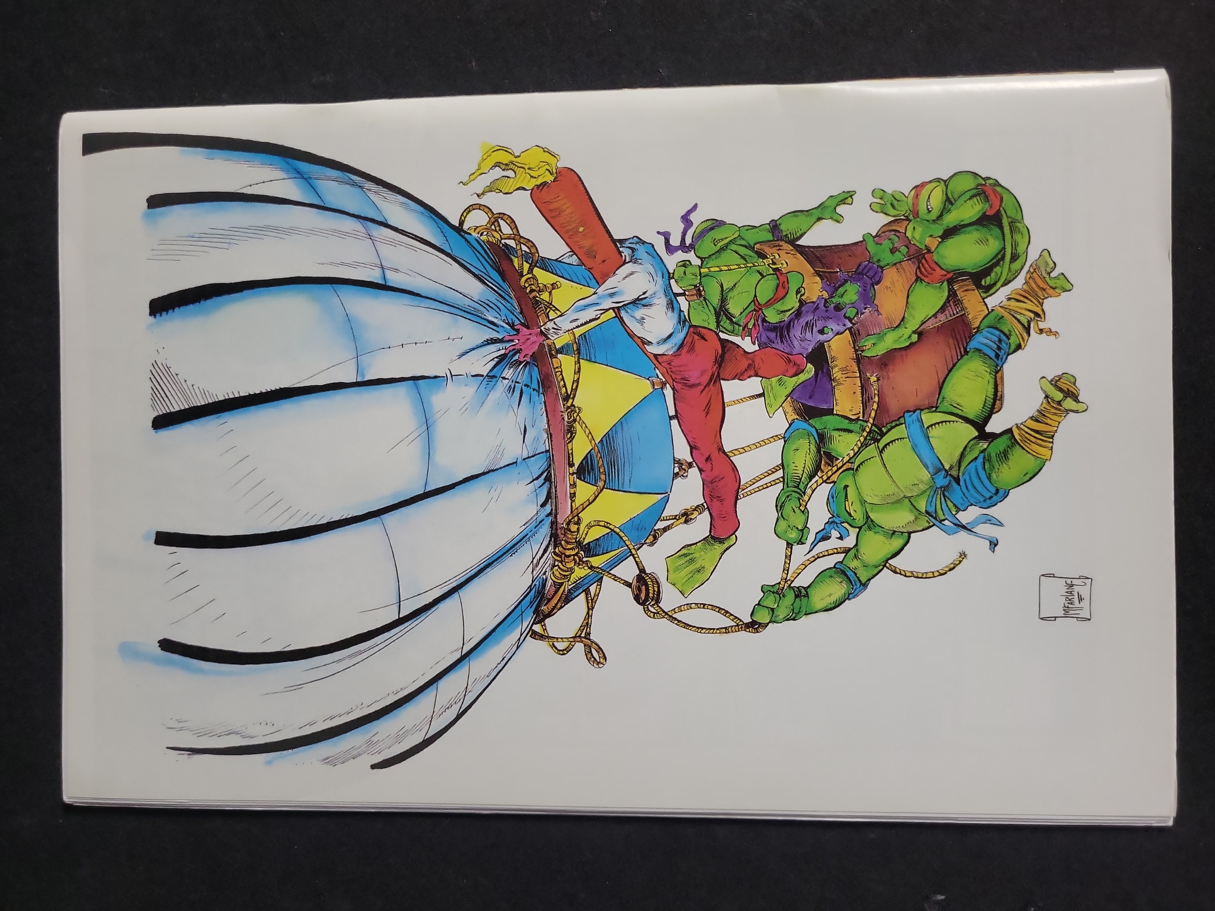 I03996 | Signed Flaming Carrot Ashcan 27