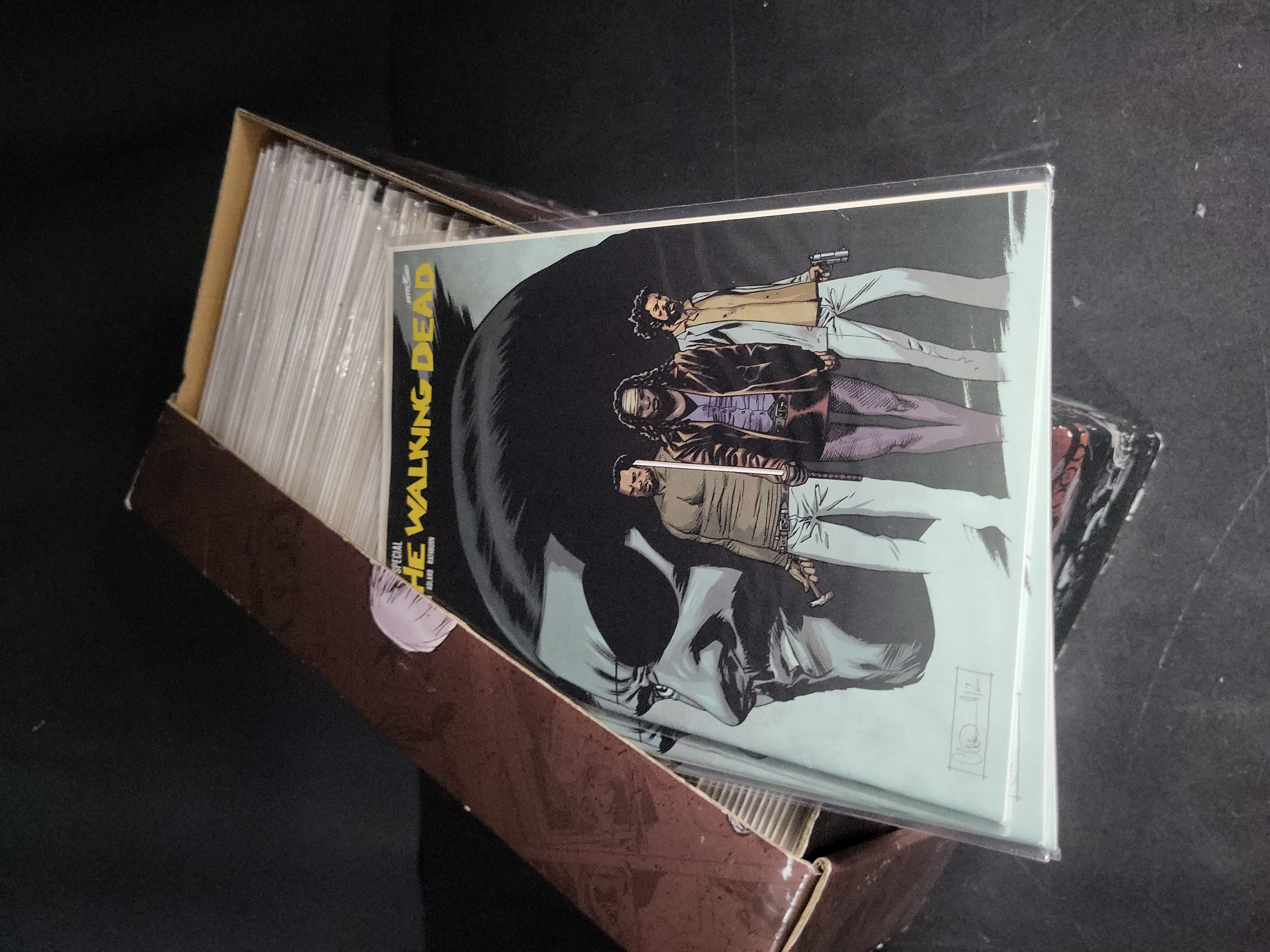 I04620 | Collection of Walking Dead Comics