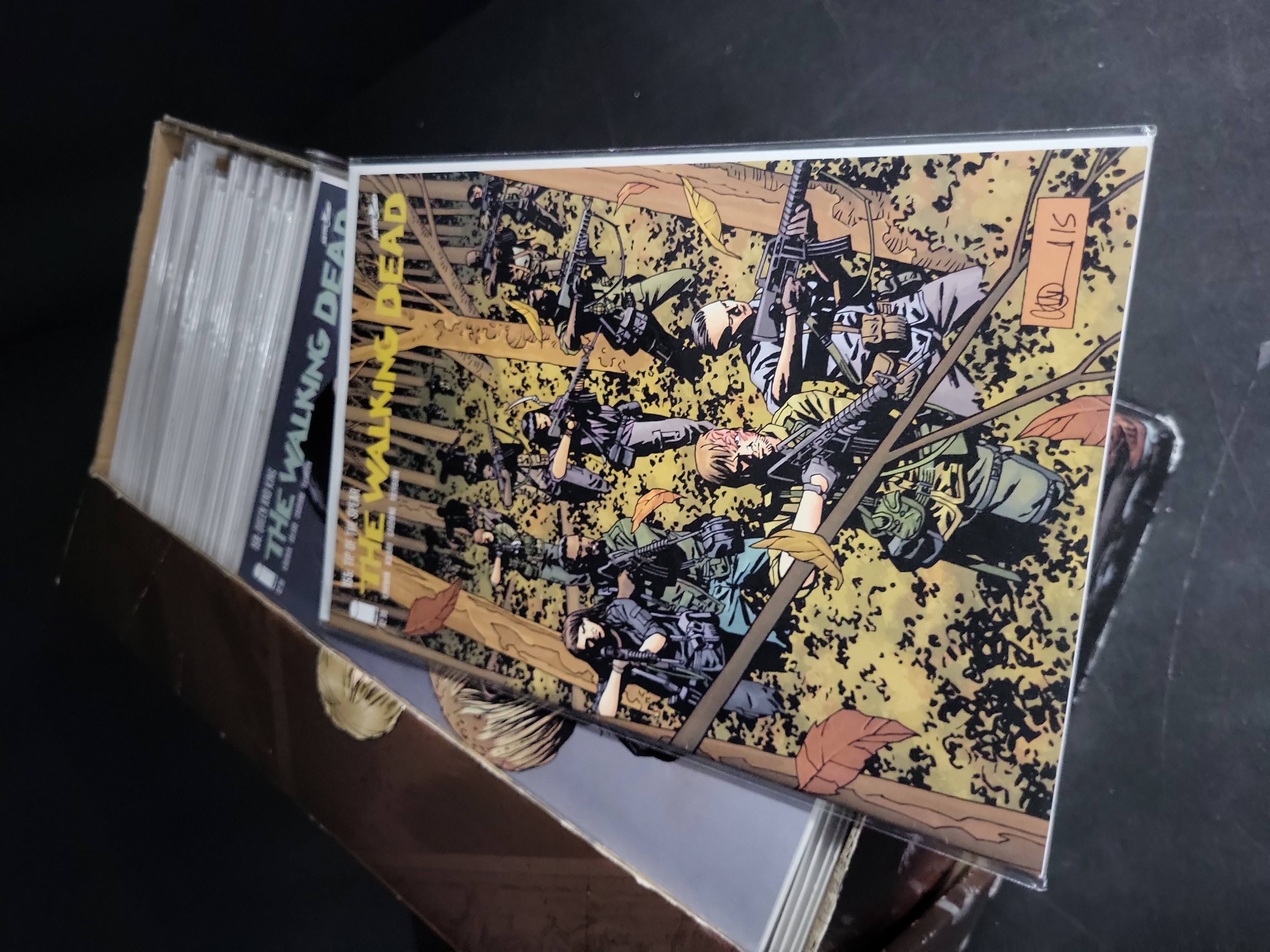I04621 | The Walking Dead Comic Collection