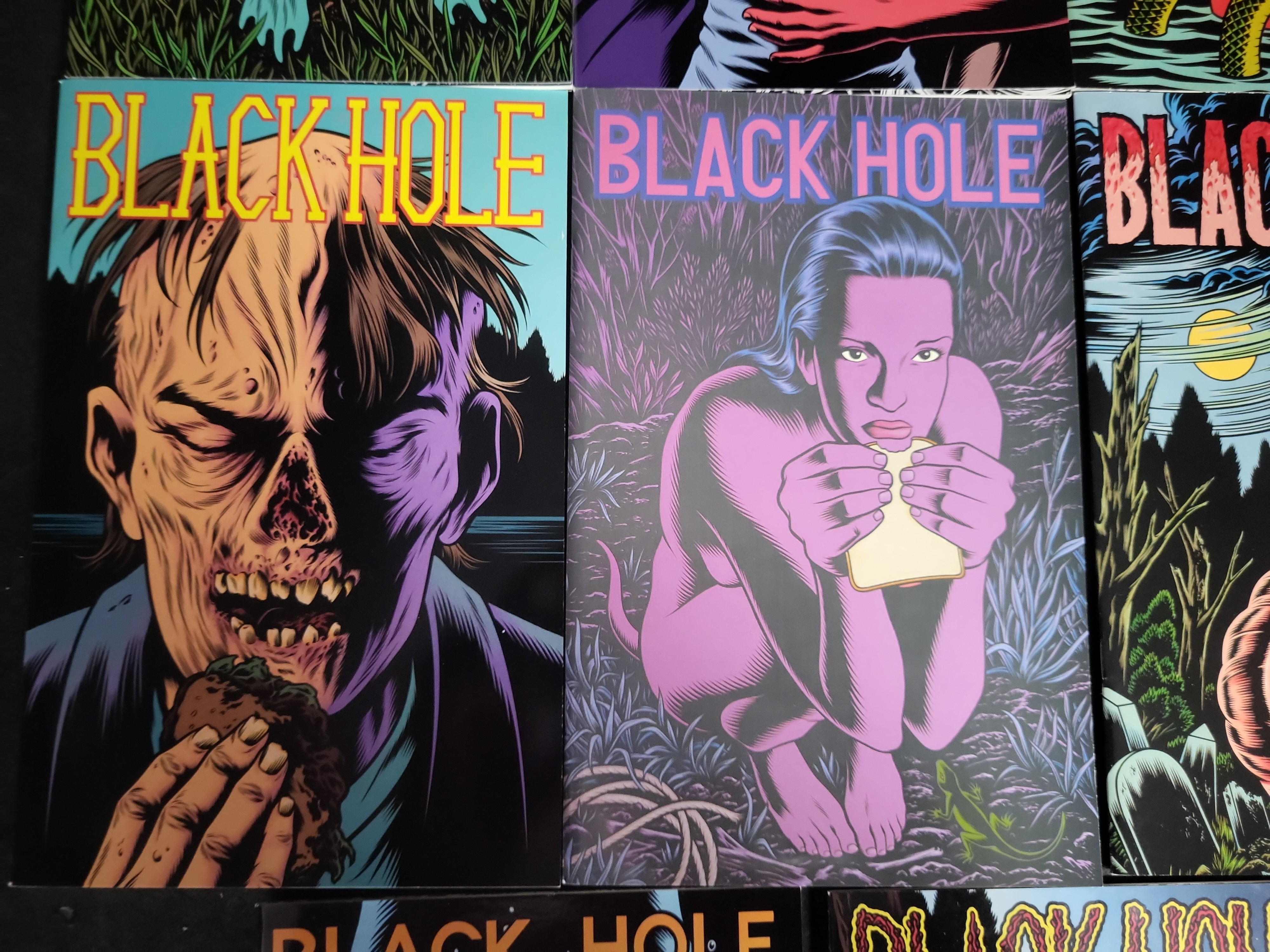 I04016 | Black Hole Comic Book Collection