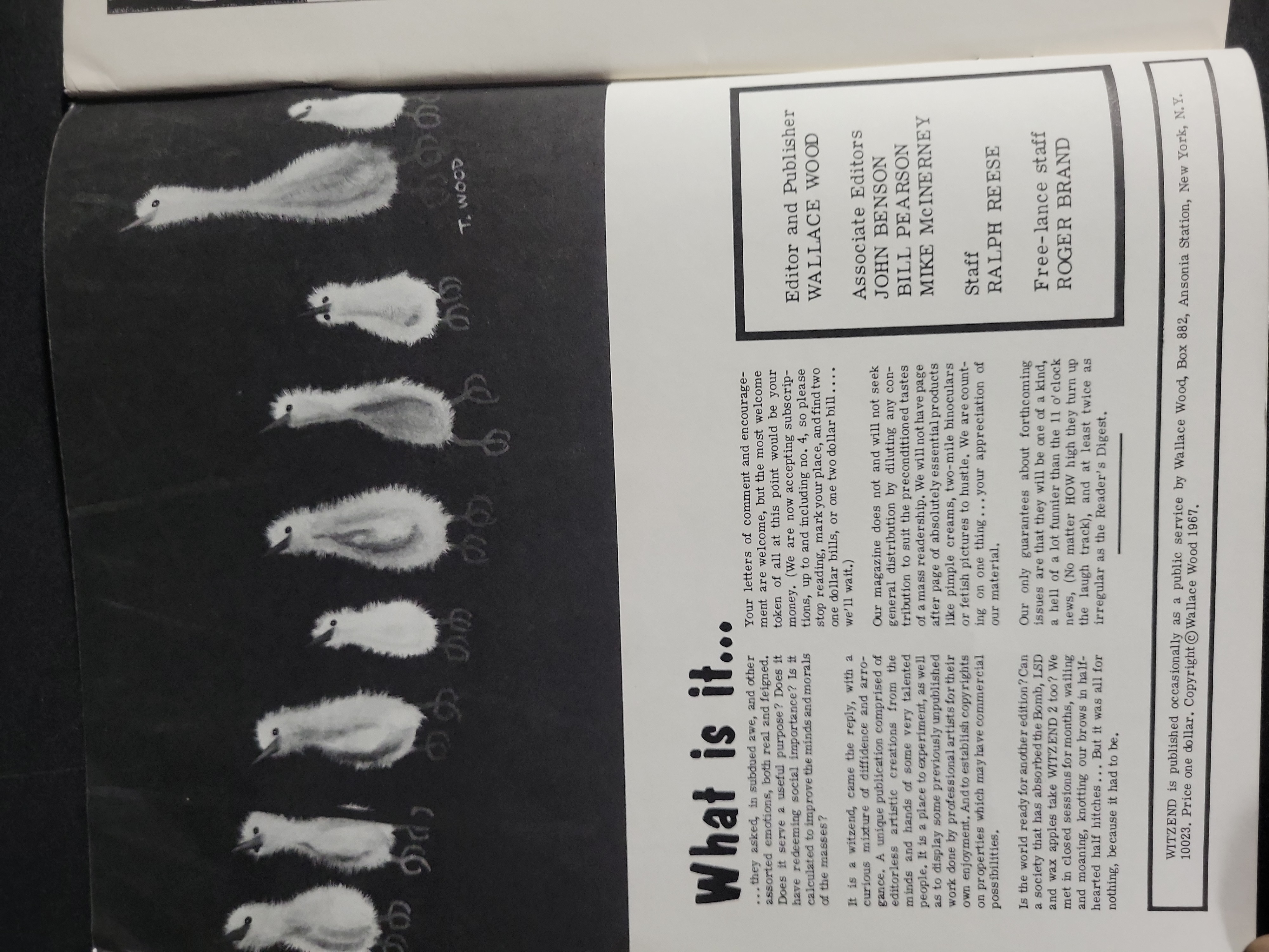 I04040 | Witzend No. 2 Wallace Wood Magazine