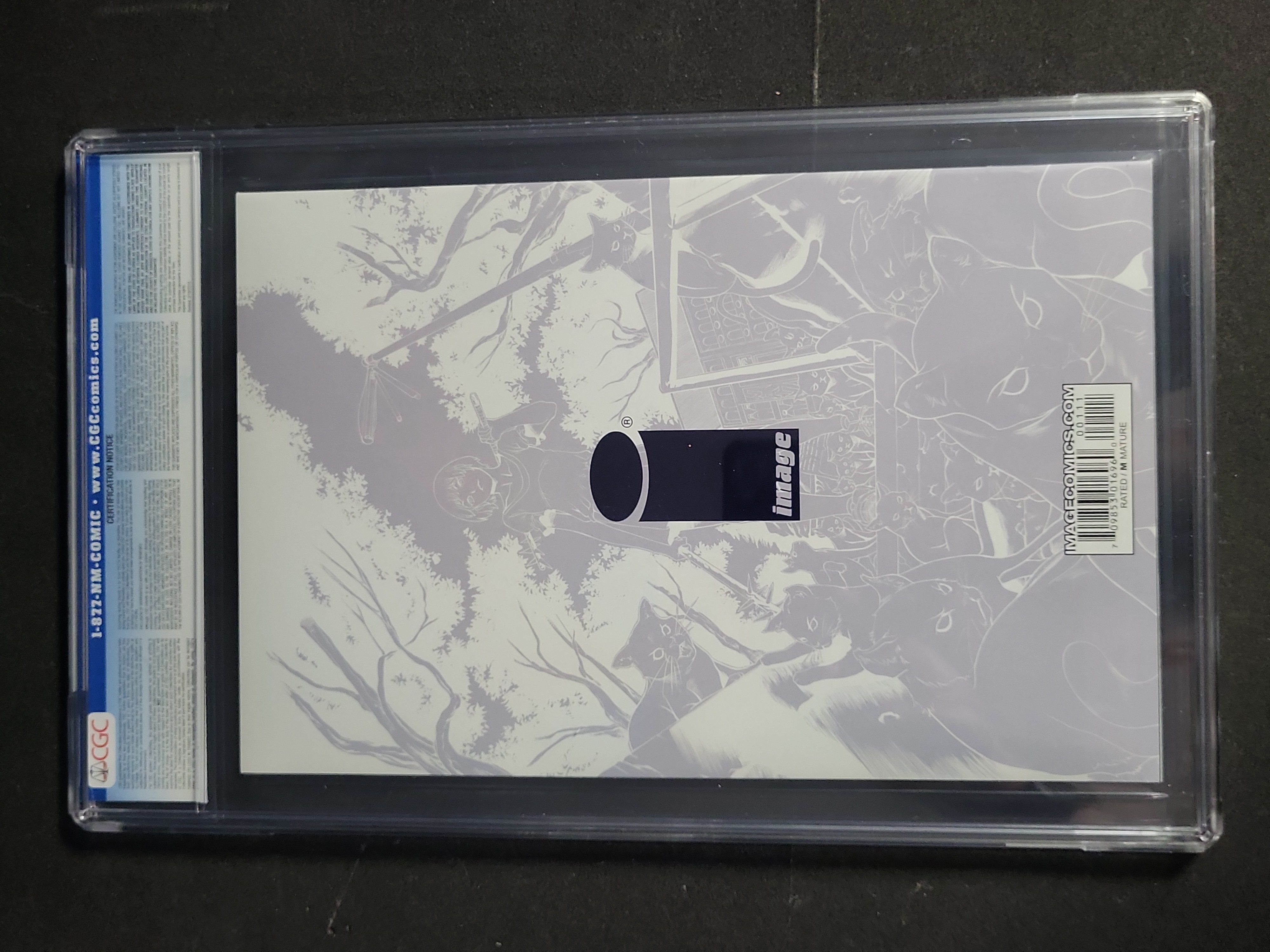 I03948 | Wayward #1 CGC 9.8 Variant Cover