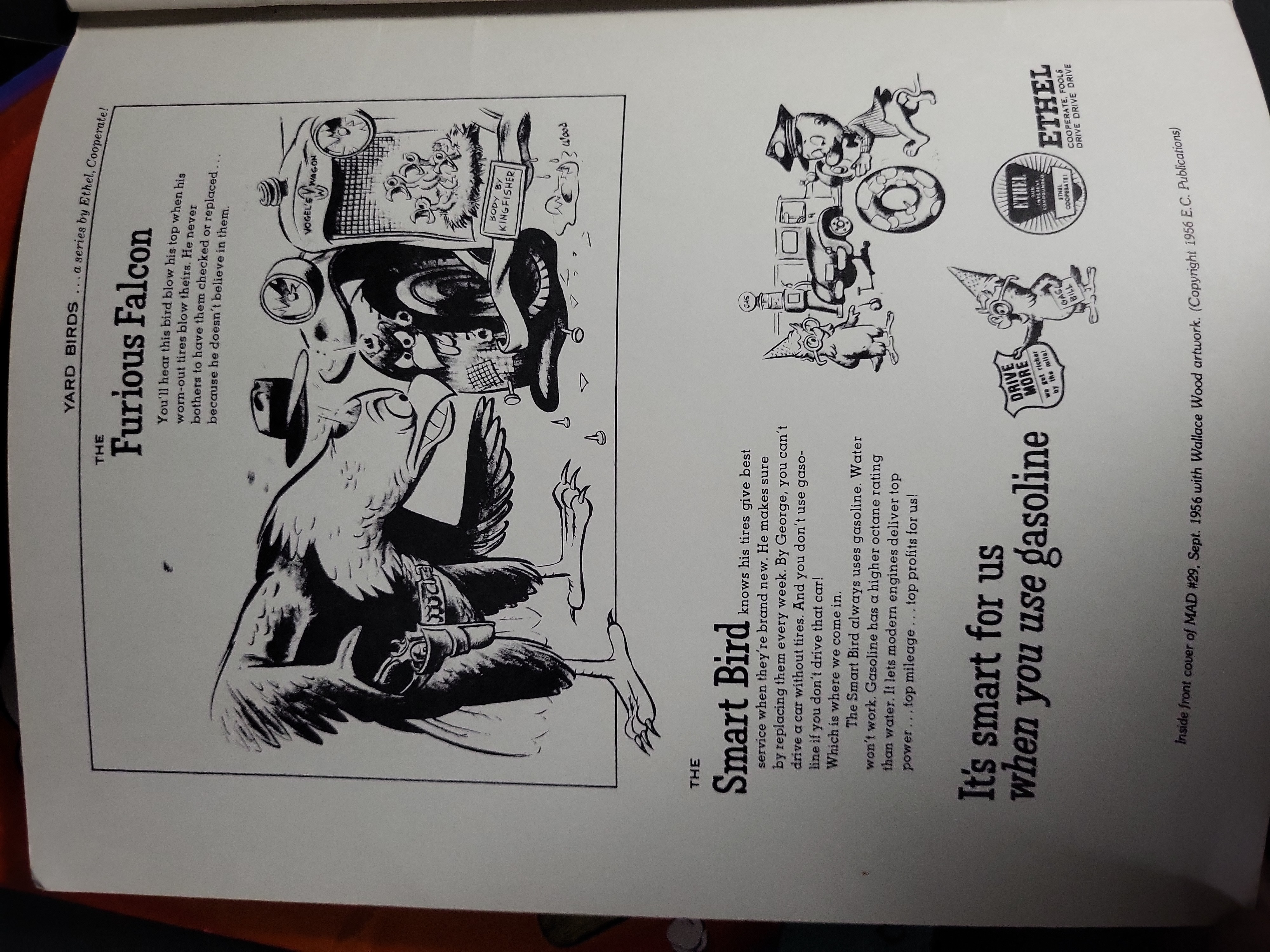 I04043 | Two Okefenokee Star Pogo Fanzines