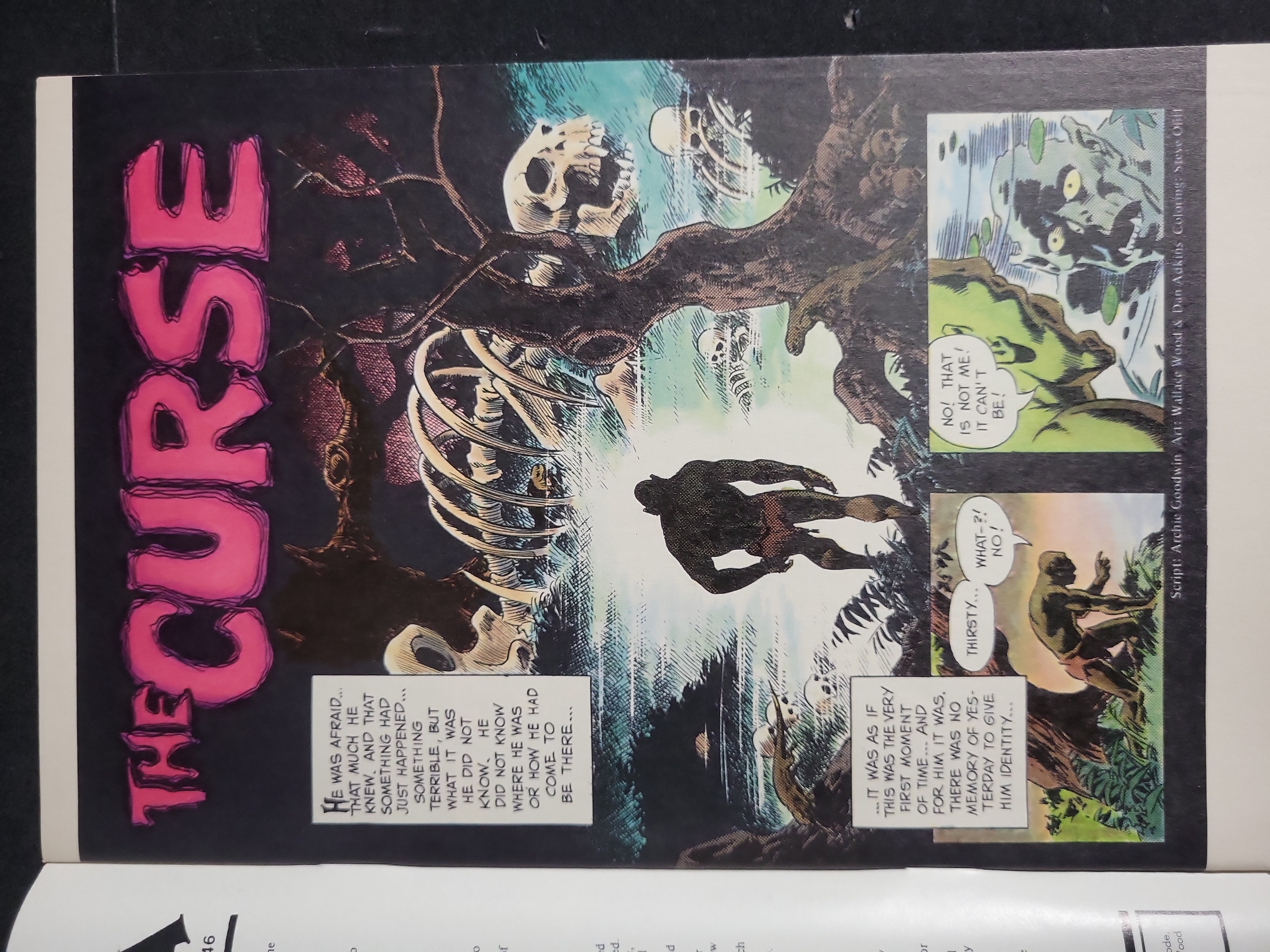 I04000 | World of Wood Comic Book Issue 2