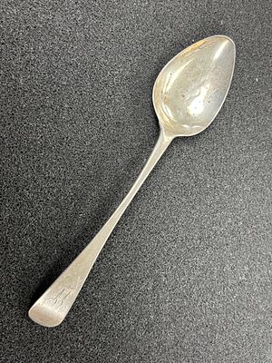 A Newcastle HM silver spoon by David Darling (1798-1813) weighing 29.74 gm