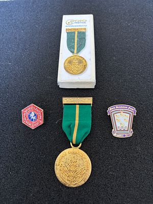 UK, c. 2010-2020, Masonic Regalia Collection, Gilt Base Metal and Enamel. A Collection of 