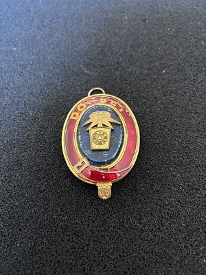 Daughters of Scotia Gilt Metal and Enamel Fraternal Medallion. An oval fraternal organisational 