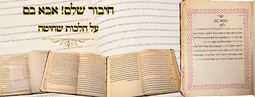 אבוא בם. חיבור שלם! אבא בם, על הלכות שחיטה - מרוקו ראשית שנות הת"ש המוקדמות 
חיבור שלם על 