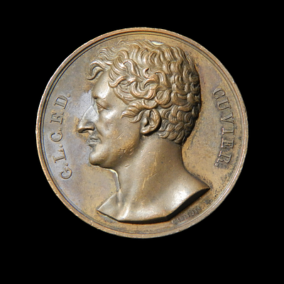 Fran&ccedil;ois-Augustin Caunois (Bar-le-Duc 1787 - Paris 1859) - Georges Cuvier (1769-1832) French 