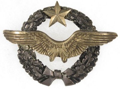 MAJOR GEN. CALEB VANCE HAYNES FRENCH PILOT'S WINGS. Rare French-issued pilot's wings awarded to 