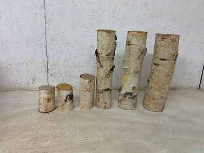 Six Birchwood Log Pieces. Six cylindrical birchwood logs in graduated sizes. Natural bark finish 