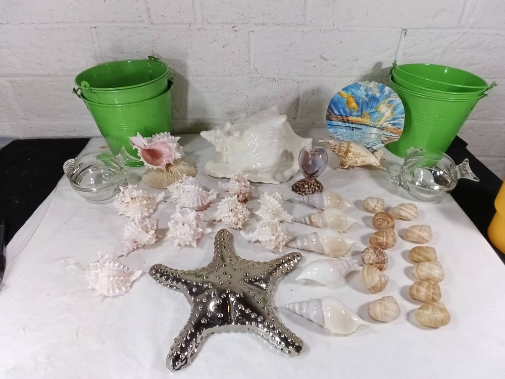 Seashell and Decorative Lot. Seashells and decorative items, including a variety of natural and 
