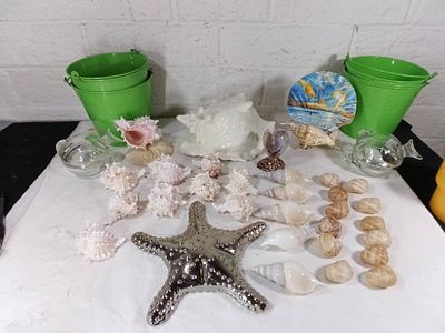 Seashell and Decorative Lot. Seashells and decorative items, including a variety of natural and 
