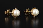 14K Yellow Gold and Pearl Earrings by Majorica. crafted by the Spanish designer company Image - 1