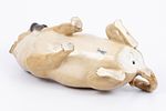 Meissen - porcelain figurine in the form of a Pug dog, late 19th century. Porcelain figurine Image - 2