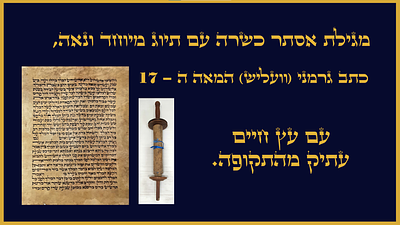 מגילת אסתר כשרה עם תיוג מיוחד ונאה, כתב גרמני (וועליש) המאה ה-17 עם עץ חיים עתיק מהתקופה. 