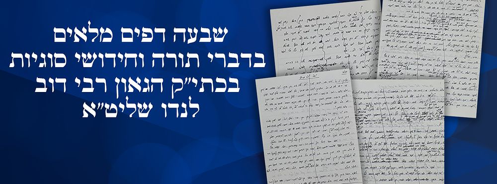 שבעה דפים מלאים בדברי תורה וחידושי סוגיות בכתי"ק הגאון רבי דוב לנדו שליט"א, 
בחלק מהדפים מחיקות 