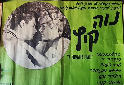 כרזה / פוסטר קולנוע - הסרט " נווה קיץ " עם סנדרה די וטרוי דונהוי . קרע