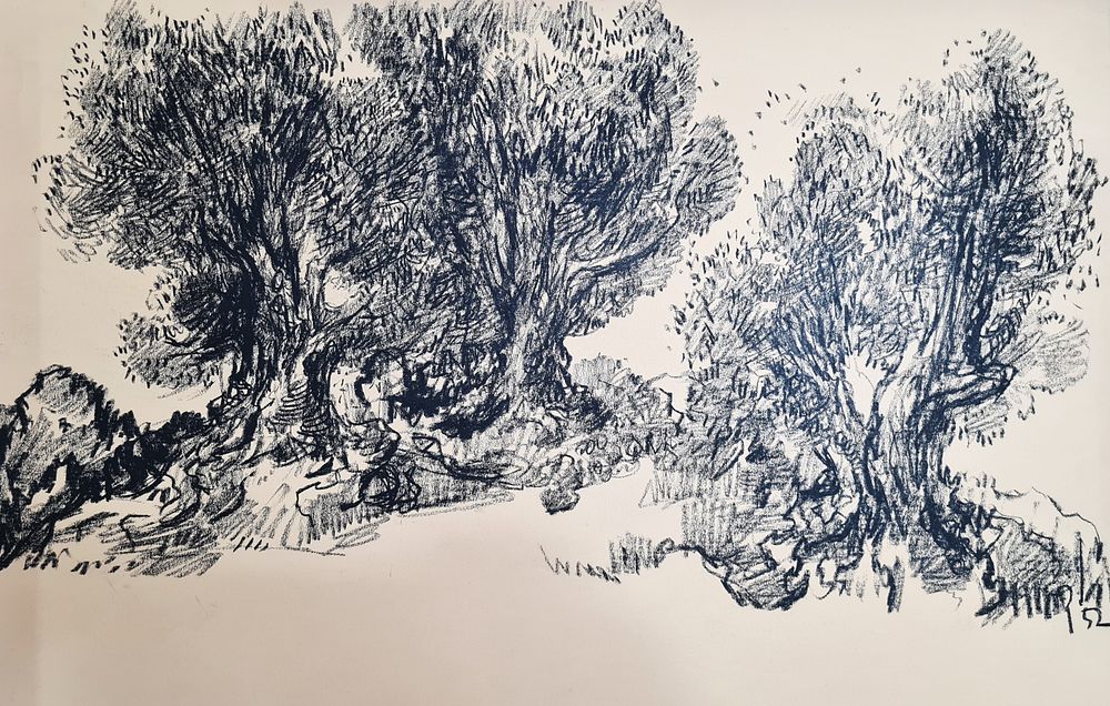 לאופולד קְרָקַוּאֶר ( 1890-1954 ) Leopold Krakauer - " עצים " רישום בפחם על נייר , חתום , לא 