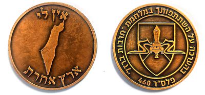 מדליה צהלית - פלס"ר 460 - בהערכה על השתתפותך במלחמת חרבות ברזל. עשויה קופר- נחושת . קוטר 