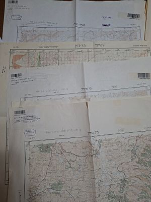 לוט 20 מפות טופוגרפיות של ערים ואתרים בישראל שנות ה - 60 . קנה מידה שונים . המפות הינם : הר 
