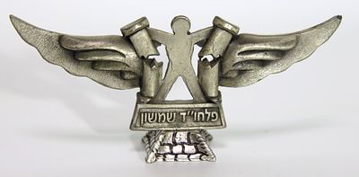 פלאק מתכת על בסיס ייעודי - פלחו"ד גדוד שמשון בחטיבת כפיר. רוחב - 14 גובה - 6 