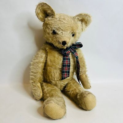 Antique Mohair Straw Stuffed Humpback Teddy Bear. Antique Mohair Straw Stuffed Hump Back Teddy 