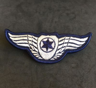 סיכת כנפי טייס של צבא הגנה לישראל