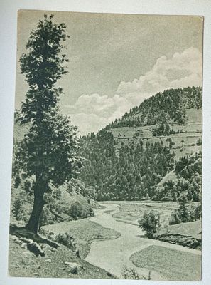 Открытка СССР 1955 год В долине реки Аджарис Цхали. Состояние: Отличное
