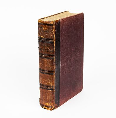 Андреев, А.Н. Живопись и живописцы главнейших европейских школ: Настольная книга для любителей 