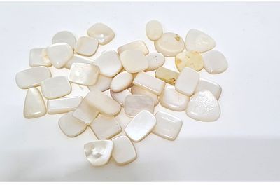 חלקי צדף מסותתים. אובייקטים מיוחדים ומבריקים עשויים מצדף...יכולים לשמש כאלמנטים דקורטיביים או 