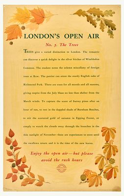 Travel Poster London Underground Open Air The Trees. Original vintage London Transport travel 