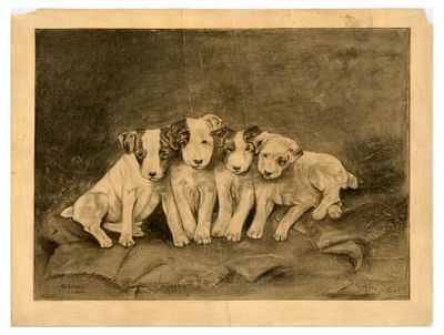 Advertising Poster Dogs Puppies Ch Denolf Antique Canine. Original antique poster featuring a 