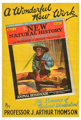 Advertising Poster Natural History Chimpanzee J Arthur Thomson. Original vintage advertising 