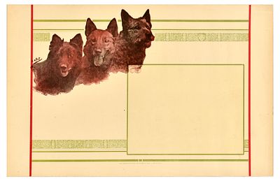 Advertising Poster Dog Breeds Canine E Drot Shepherd. Original antique poster or a blank diploma 