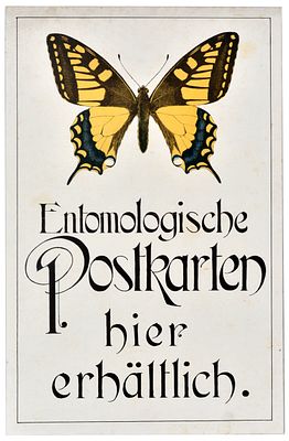Advertising Poster Butterfly Entomology Postcards Old World Swallowtail. Original antique 