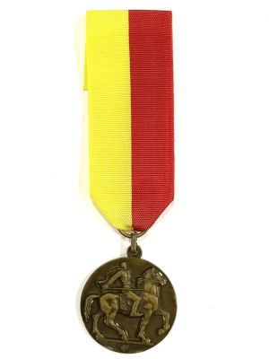 Италия. Сбор фронтовиков-ветеранов в 1936 году в честь маршала первой мировой войны - Диаза - 