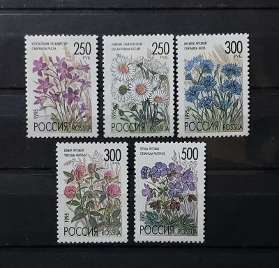 1995г. Флора. Полевые цветы России, серия. Состояние **. Кат. №216-220
