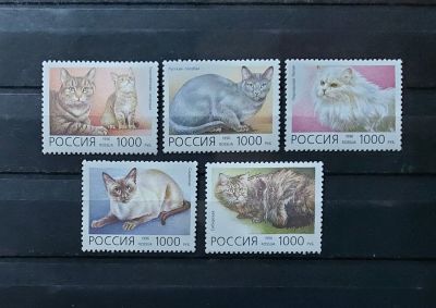 1996г. Фауна, Домашние кошки, серия, Состояние **. Кат. №266-270