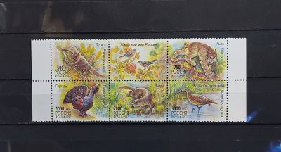 1997г. Фауна. Животный мир, сцепка 5м с купоном. Состояние**. Кат. №376-380