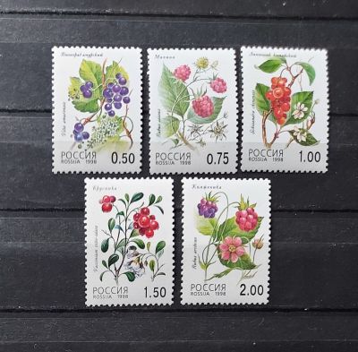 1998г. Флора. Лесные ягоды, серия. Состояние **. Кат. №447-451