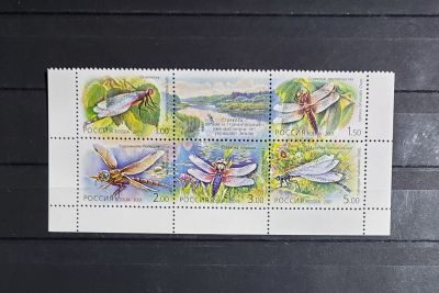2001г. Фауна. Стрекозы, сцепка 5м с купоном. Состояние **. Кат. №671-675