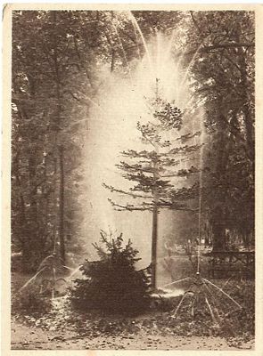 Петергоф. Нижний сад. Шуточный: "Дубок", "Елочка" и "Тюльпаны", пост. во второй половине XVIII в.