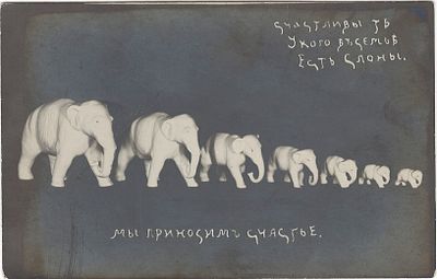 Счастливы те, у кого в семье есть слоны. Мы приносим счастье.