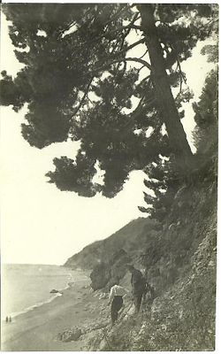 Скалистый берег.